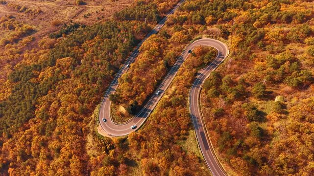 Hairpin bend on mountain road surrounded by autumn trees. Aerial drone view of sharp switchback curve with cars amid orange and golden foliage.