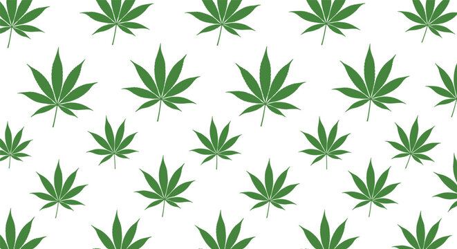 Pattern of green cannabis leaves on a plain background representing the marijuana industry and botanical medicine.