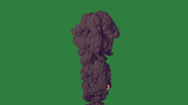 Bunch of popcorn rock small object in the middle statue an elephant is standing front woman black dress smoke cloud stack