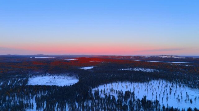 Endless snowy forest and frozen bogs at twilight, Lapland. Aerial panorama of red horizon glow over pine treetops and white clearings.
