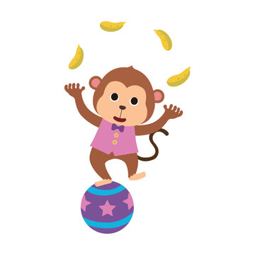 Cute circus monkey character juggling bananas while balancing on a ball. Flat vector illustration isolated for children design