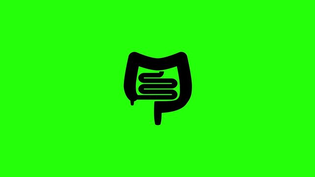 4K resolution video of human small and large intestines digestive organ silhouette bouncing into view. Perfect gastroenterology clinic medicine web icon.