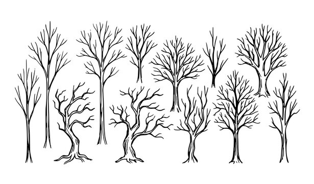 Hand drawn bare winter trees silhouettes sketch set with spooky leafless branches for autumn and horror forest vector illustration
