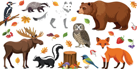 Autumn Woodland Wildlife Vector Illustration Set Featuring Bear, Moose, Fox, and Owl with Fall Leaves for Seasonal Greetings, Forest Decor, and Kids Educational Prints © MstMuktha