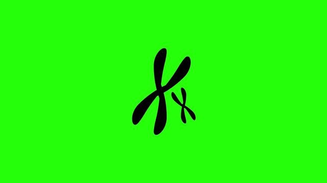 4K horizontal layout featuring a biological chromosome X structure genetic DNA silhouette bouncing. Tactical popup laboratory bioengineering web icon.