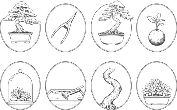 Hand drawn bonsai and zen garden illustrations
