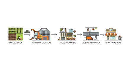 Fototapeta premium Food Supply Chain Process Infographic Showing Crop Cultivation, Harvesting, Processing, Logistics and Retail Marketplace Stages