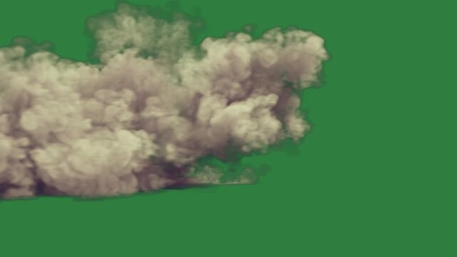 Bird flying through the air on an explosion of fire lot smoke black cloud movement figure scene frame backgrounds