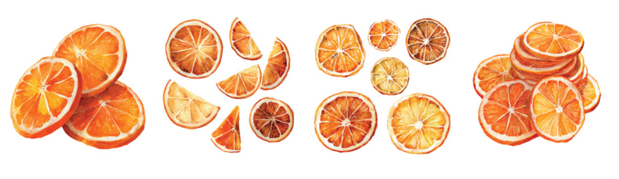 Simple Design drawing, Hand-painted style, An EPS painting design, Vector illustration set, My Watercolor illustration, dried orange slices painting isolated on a white background