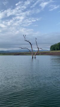 Back water landscape, Bhadra Tiger reserve, India