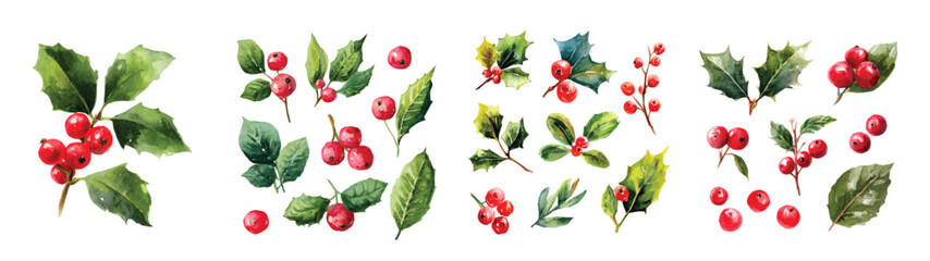 Obraz premium Vector illustration set, My Watercolor illustration, set of holly berries and leaves. Watercolor painting isolated on a white background, an EPS painting design, Hand-painted style, vectorized