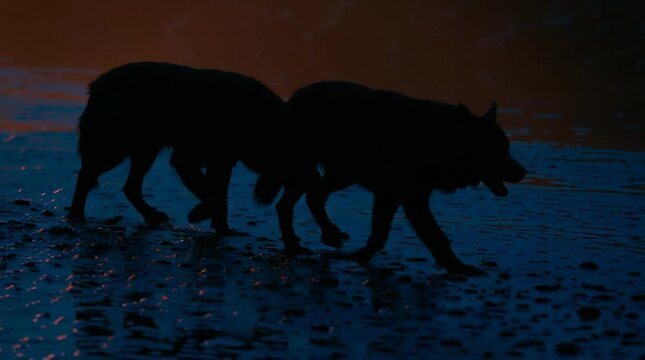Shadowy silhouette of Cerberus pacing along the River Styx, illuminated by distant firelight, haunting atmospheric movement in a dark mythological underworld