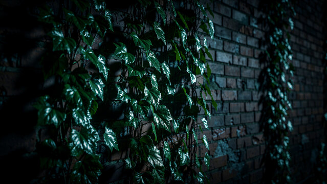 Lush green ivy leaves climbing an old brick wall at night. Shiny wet foliage clings to the textured masonry in low light. Moody urban nature backdrop ideal for mystery and architectural growth.
