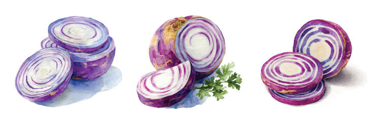Obraz premium Design of a beautiful sliced turnip with purpl set painting. Hand-painted style, vectorized, vector set available in EPS Simple Hand-painted watercolor style. Hand-painted watercolor style, vectorized