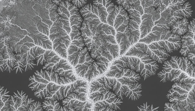 Microscopic dried human tear salt crystals fractal landscape texture