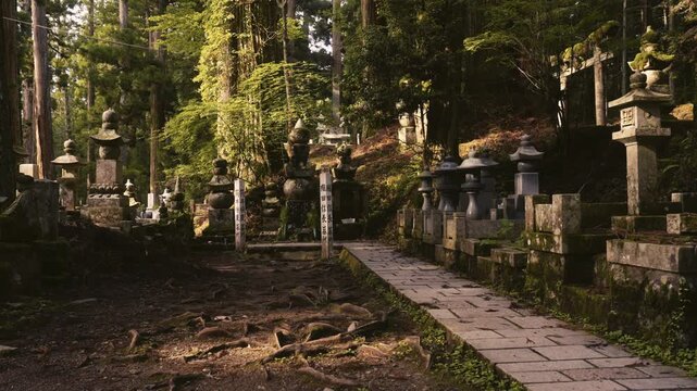 Early Summer Morning Sunlit Memorial Tower of Oda Nobunaga at Okunoin, Koyasan UNESCO World Heritage, Koya Town, Wakayama, Japan　世界遺産 高野山「初夏 早朝の奥之院・朝陽を浴びる戦国武将・織田信長の供養塔(18世紀建立)」和歌山県高野町
