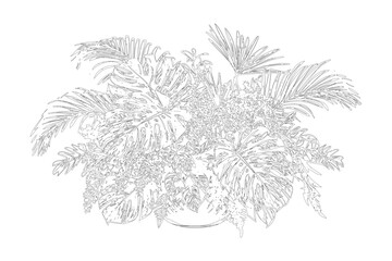 Tropical plant arrangement with monstera and palm leaves © Joyanto