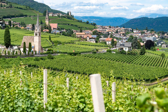 TRAMIN - TERMENO - TRENTINO ALTO ADIGE