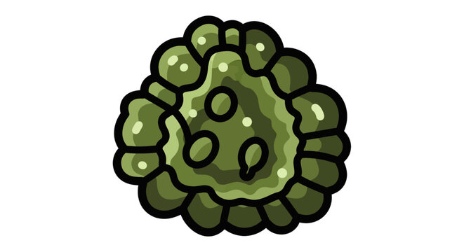 Cartoon green algae cell organism.