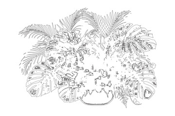 Tropical palm and monstera leaves foliage arrangement © Joyanto