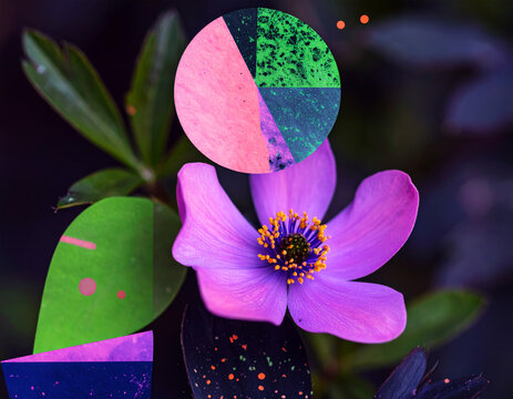 purple flower in abstract art composition