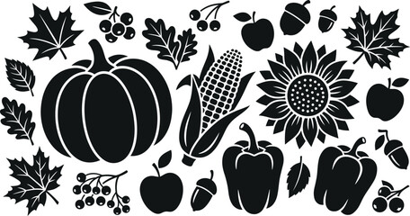 Autumn harvest elements pumpkins corn leaves and sunflowers © Rohima