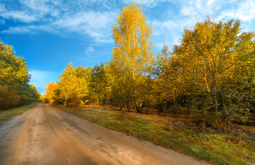 Barwy jesieni © Grzegorz Komendarek