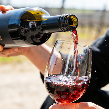 A man pours red wine from a bottle into a glass.