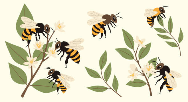 Beautiful illustration of multiple honey bees busily pollinating white flowers on green leafy branches against a pale background.