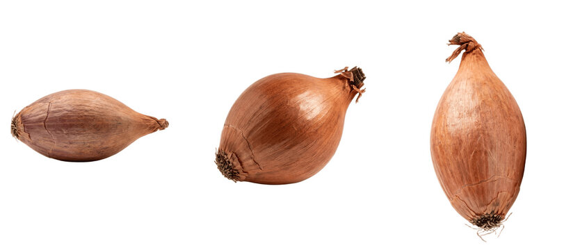 A Set of Shallot PNG Bulbs Isolated on White Background for Gourmet Sauces, Dressings, Food Blogs, French Cooking and Elegant Kitchen Ingredient Design


