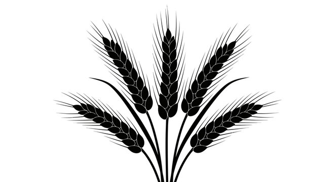 Wheat Stalks Silhouette Vector Illustration