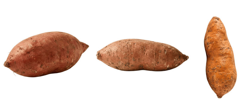 A Set of Sweet Potato PNG Root Vegetables Isolated on White Background for Cozy Fall Recipes, Oven Bakes, Food Blogs and Rustic Kitchen Design


