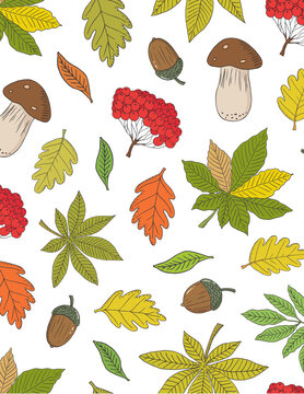 Seamless hand drawn autumn pattern with porcini mushrooms, acorns, chestnut leaves, rowan berries on white background
