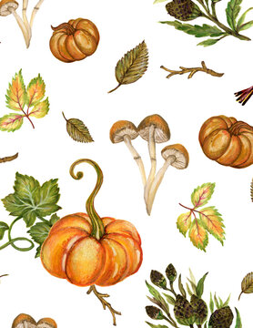 Watercolor seamless pattern with orange pumpkin, forest mushrooms, autumn leaves and pine cones on white background
