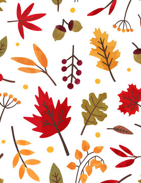 Seamless flat vector autumn pattern with maple leaves, oak leaves, acorns and red berries on white background