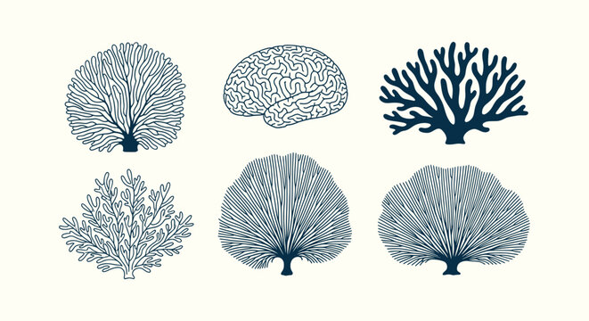Vintage Hand Drawn Coral Reef Illustrations Set With Sea Fan Brain Coral and Underwater Marine Life