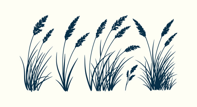 Collection of wild meadow grass and field weed silhouettes hand drawn for nature design elements