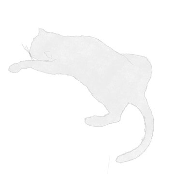 Funny Stretched Out Scottish Fold Cat Sploot Sleeping Illustration