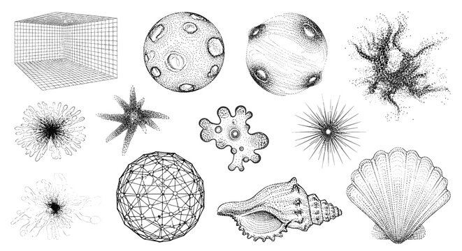 Compilation of detailed stippled drawings showing celestial bodies, seashells, and intricate geometric wireframe shapes.