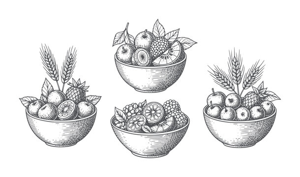 Hand drawn fruit bowls with wheat ears and leaves