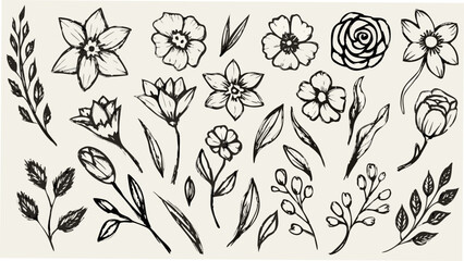 Collection of sketched floral ornaments with leaves and stems on a light beige background botanical flowers © Sujit