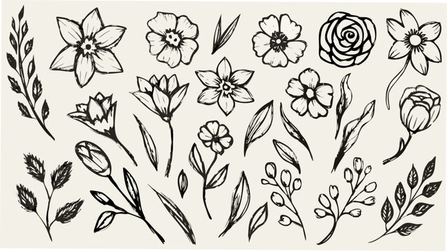 Collection of sketched floral ornaments with leaves and stems on a light beige background botanical flowers