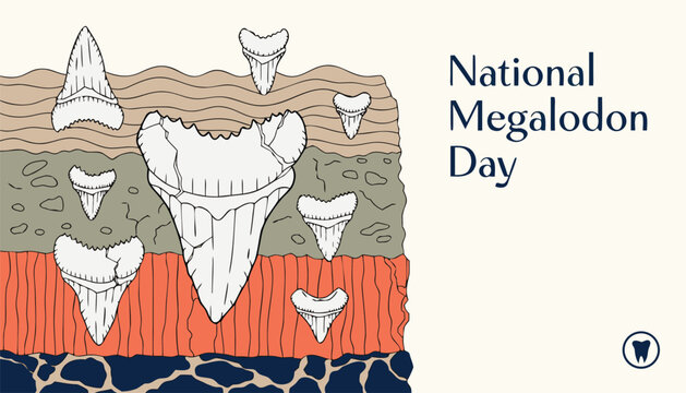 Ancient megalodon shark teeth fossils displayed in colorful geological rock layers