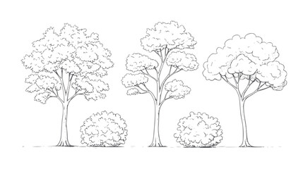 Three distinct trees and two rounded bushes drawn in black ink nature foliage branches © Mohammad