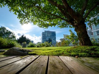 Fototapeta premium Sunny green park with modern building and wooden planks