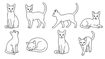 Fototapeta premium Clean vector collection of cat illustration and silhouette isolated on white background.