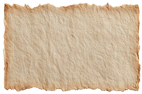 Rough handmade paper texture natural fiber paper sheet with deckle edge isolated on white background, Clipping Path, png