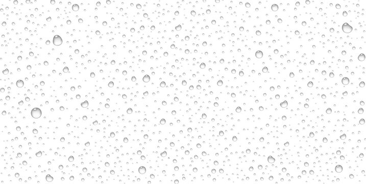 Realistic rain droplets on glass surface. Transparent water drops and wet condensation splash isolated