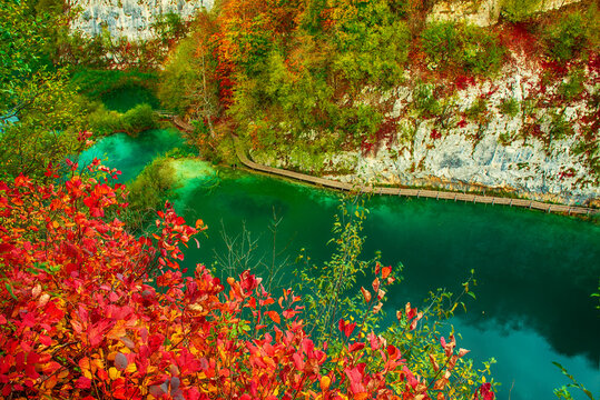 Autumn colors and lake of Plitvice National Park in Croatia, seasonal colorful background