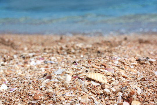 Close-up of sand with shells against the blurred sea on a sunny summer day, background for product advertising